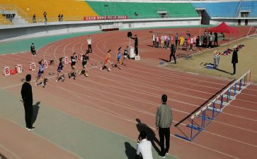 小学田径运动会活动方案6篇