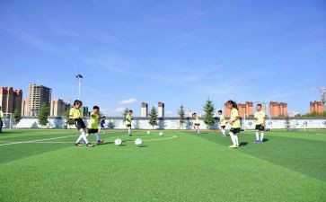 2023体卫艺工作计划6篇