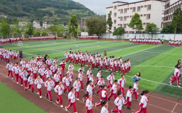 2024年体育活动方案优质5篇