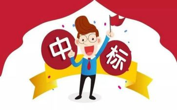 投标个人总结7篇