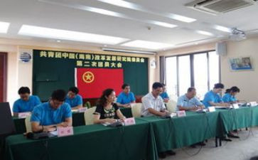 个人团委年度工作总结6篇