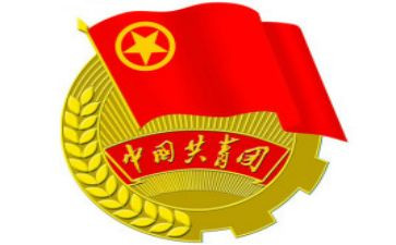 团委工作年度总结报告8篇