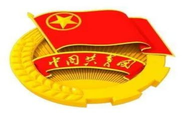 镇府团委工作总结报告6篇