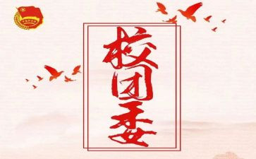 镇府团委工作总结范文8篇