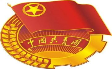 2024年团组织生活个人对照材料模板8篇