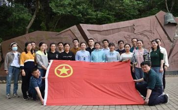 团组织活动志愿活动总结8篇