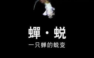 蜕变会心得体会5篇