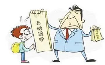 退学申请书5篇