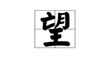 新年新愿望的演讲稿6篇