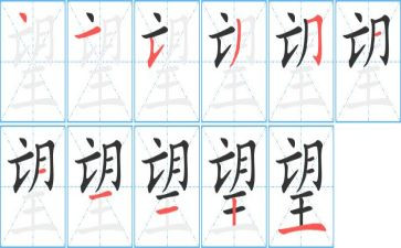 2024年我的愿望作文300字优质7篇