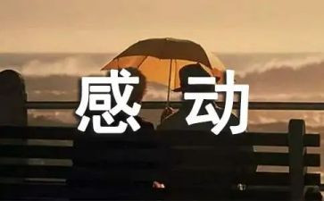 最让我感动的人作文300字优秀8篇