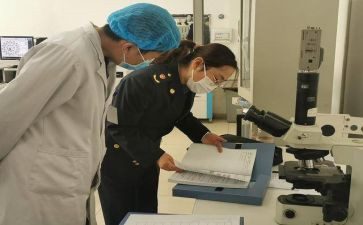 卫生室年度工作计划通用8篇