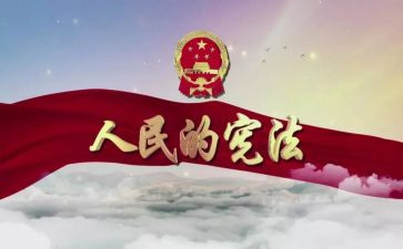 2024宪法小卫士心得8篇