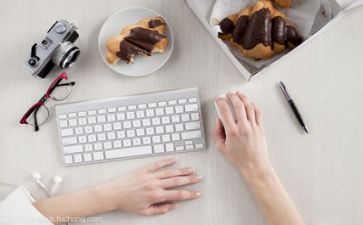 文员月工作总结和计划7篇