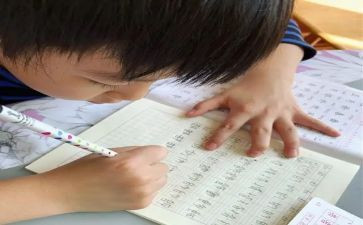 小学作文我的名字8篇