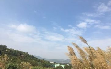 作文我的一天初一600字5篇