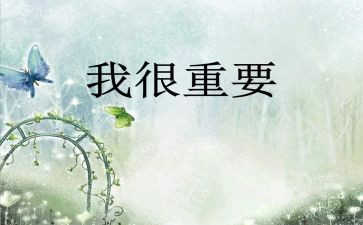 毕淑敏我很重要读后感6篇