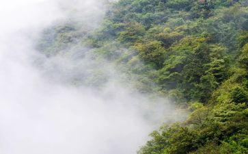 雾都孤儿读后感300字8篇