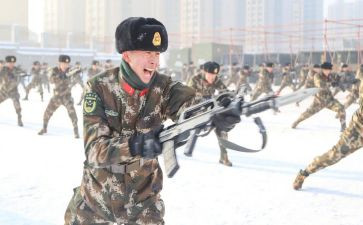 武警述职报告5篇