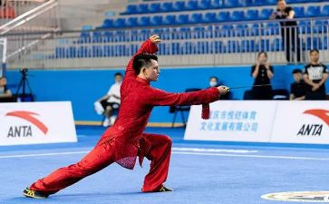 体育课武术心得5篇