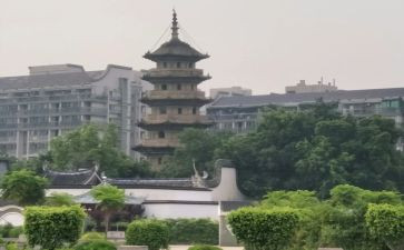 乌塔的读后感作文400字8篇