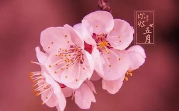 五月份安全工作计划6篇