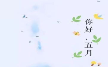 五月教师工作总结6篇