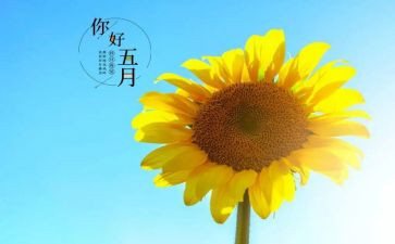 2024年五月份工作总结优秀6篇