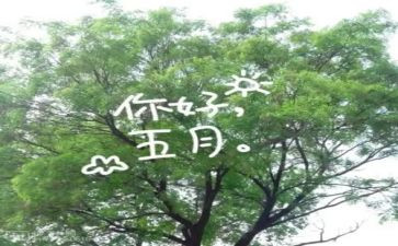 五月教育心得5篇