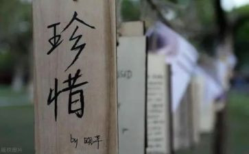 拒绝浪费珍惜粮食的演讲稿6篇