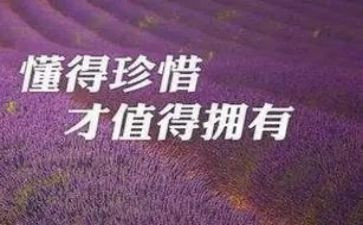 我珍惜作文最新7篇