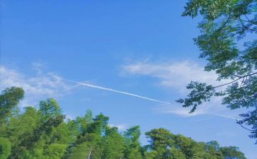 读夏洛的网读后感200字5篇