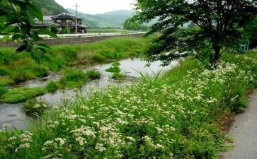 夏天的风作文300字模板5篇