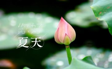 读夏洛的网读后感作文5篇