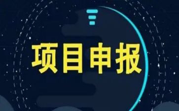 项目班总结报告8篇