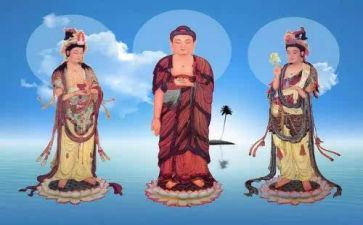 我爱仙人掌.作文5篇