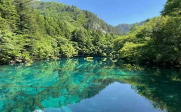 亲爱的先生读后感参考8篇