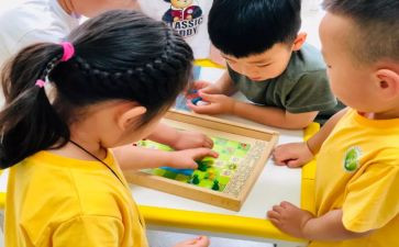 新小班的工作总结5篇