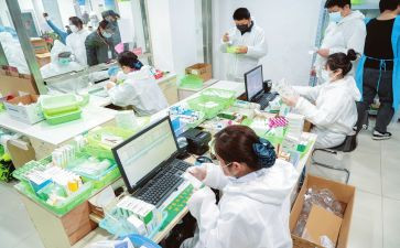 2024校对工作总结7篇