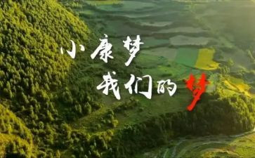 全面小康社会工作总结7篇