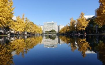 校内活动方案8篇