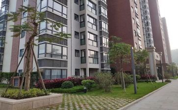 小区环境的调查报告6篇