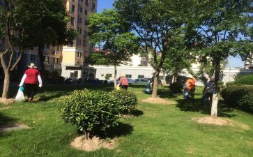 2024年小区物业工作总结优秀7篇
