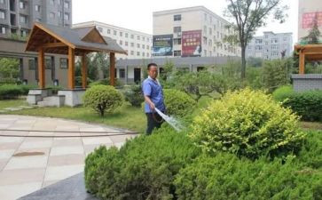 小区物业元旦活动方案元旦活动方案5篇