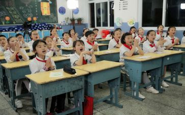 小学环境调查报告8篇