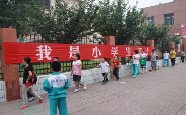 小学2024年度工作总结优秀7篇