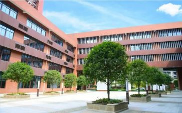 校友会2024年工作计划5篇