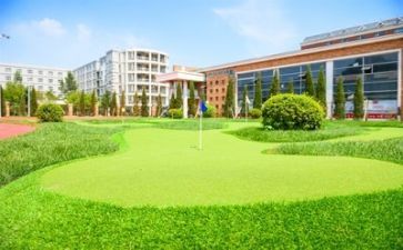 校园述职报告6篇