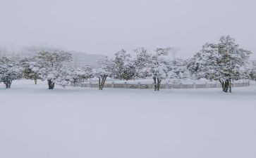 下雪啦中班教案5篇