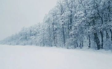下雪天安全教案优秀7篇